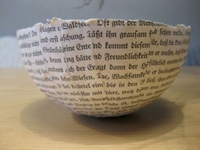 Die Raumfee Book Bowls